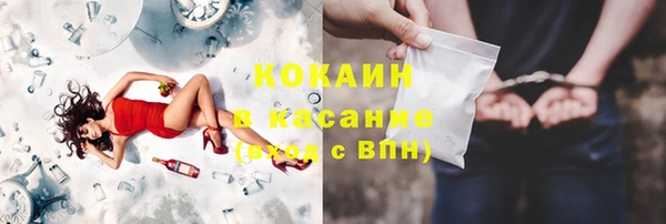 индика Алексеевка