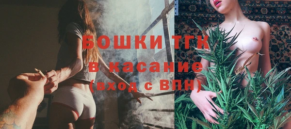 индика Алексеевка