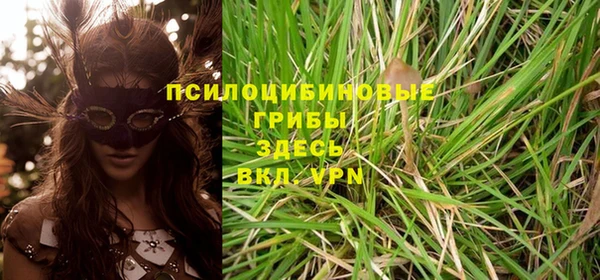 дмт Алзамай