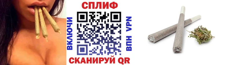 Шишки марихуана семена  Чадан 